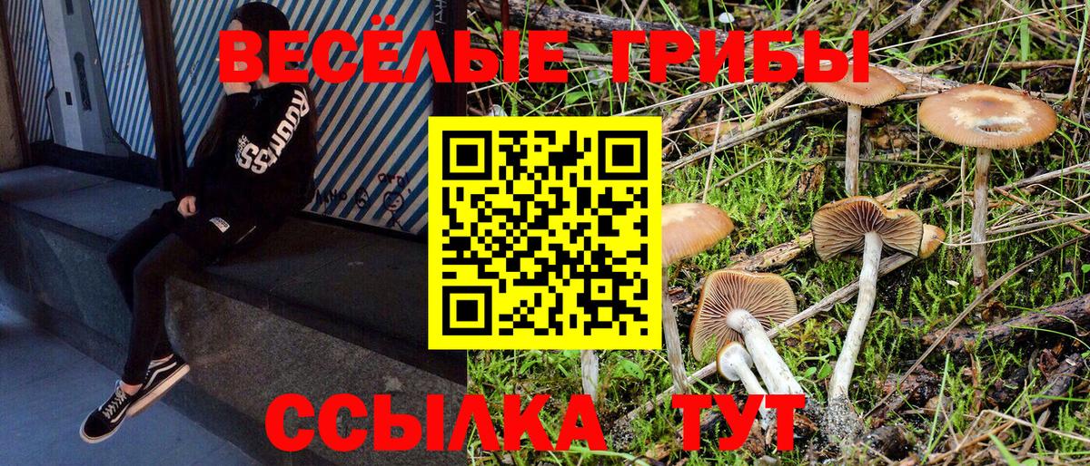 Псилоцибиновые грибы прущие грибы  Псилоцибиновые грибы Magic Shrooms  Вход с VPN  Долгопрудный 